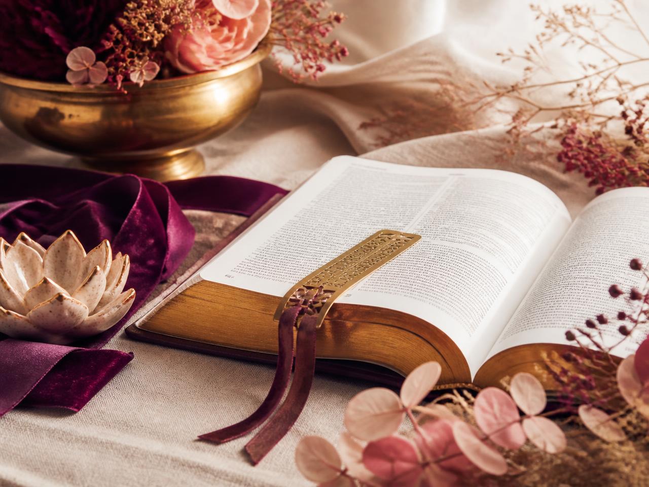 Open Bible glowing with golden light surrounded by lavender and magnolia blossoms